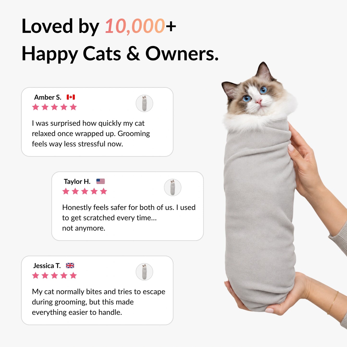 Customer reviews for RagRoyale GroomWrap showing positive feedback from cat owners about safer and less stressful grooming
