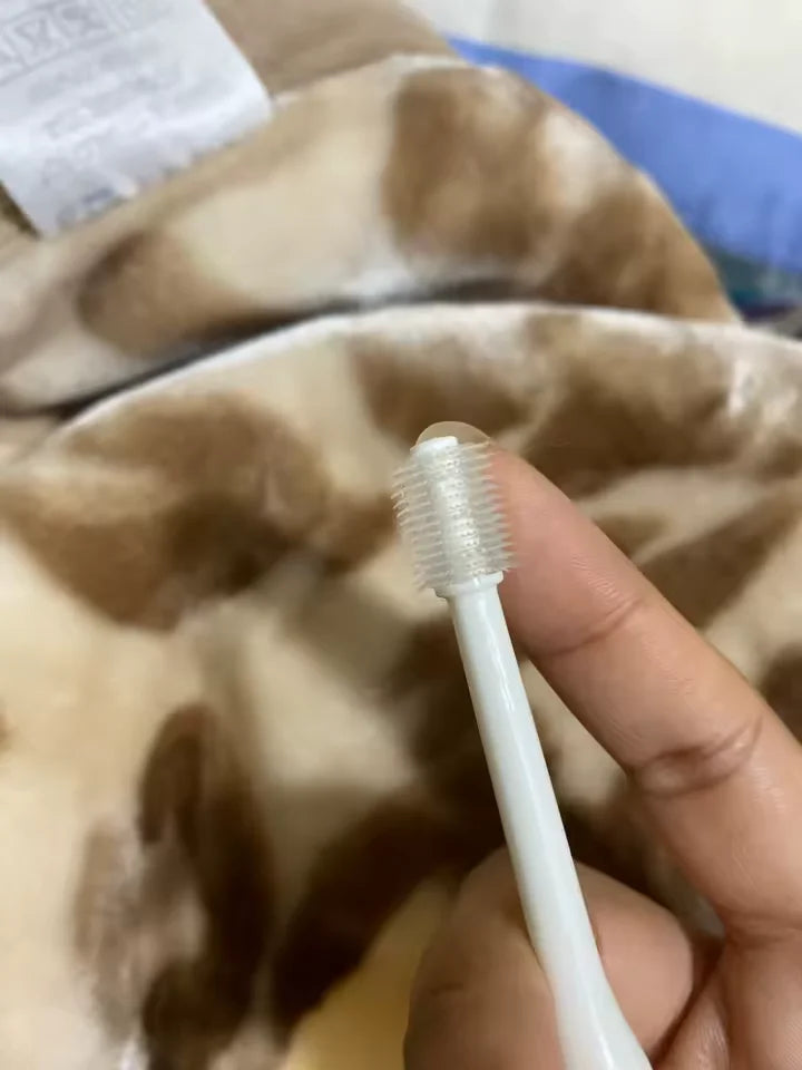 Customer showing the 360 ToothBrush before brushing her cats teeth