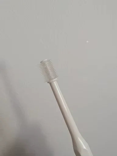 Customer showing the head of the RagRoyale 360 ToothBrush