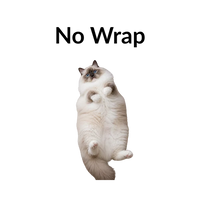 Cat without a grooming wrap representing standard handling during a cat grooming comparison