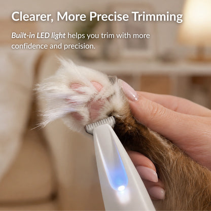 Cat paw trimming with RagRoyale FurTrim LED light trimmer for precise and safe grooming around sensitive areas