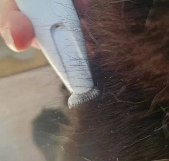 Customer trimming the fur of his long-haired cat with FurTrim