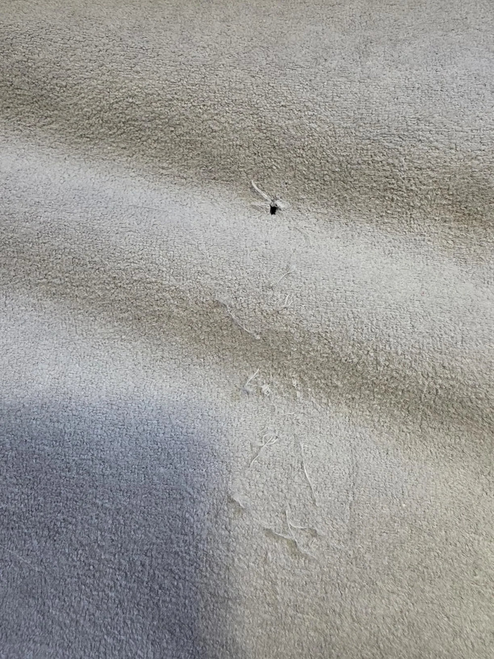 Customer showing slightly damaged  GroomWrap because of his aggressive cat