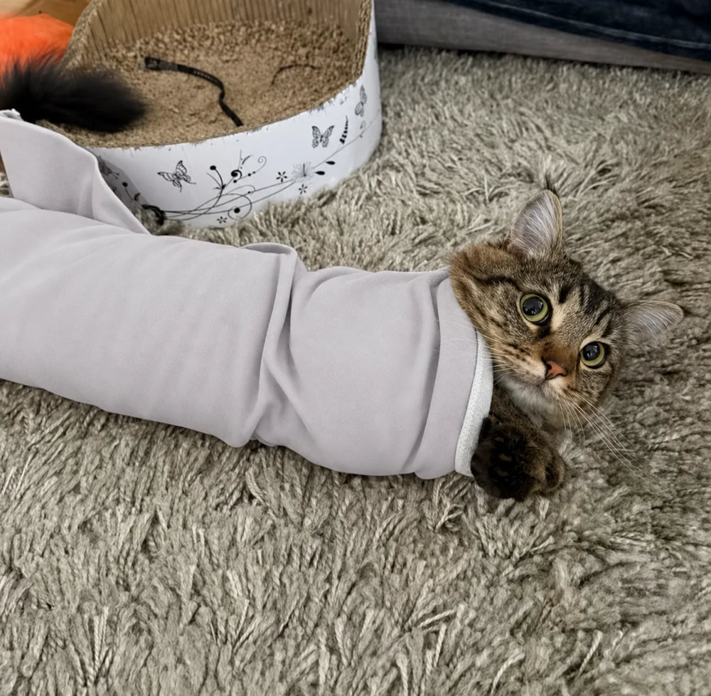 Customer showing cat during grooming wraped in the GroomWrap