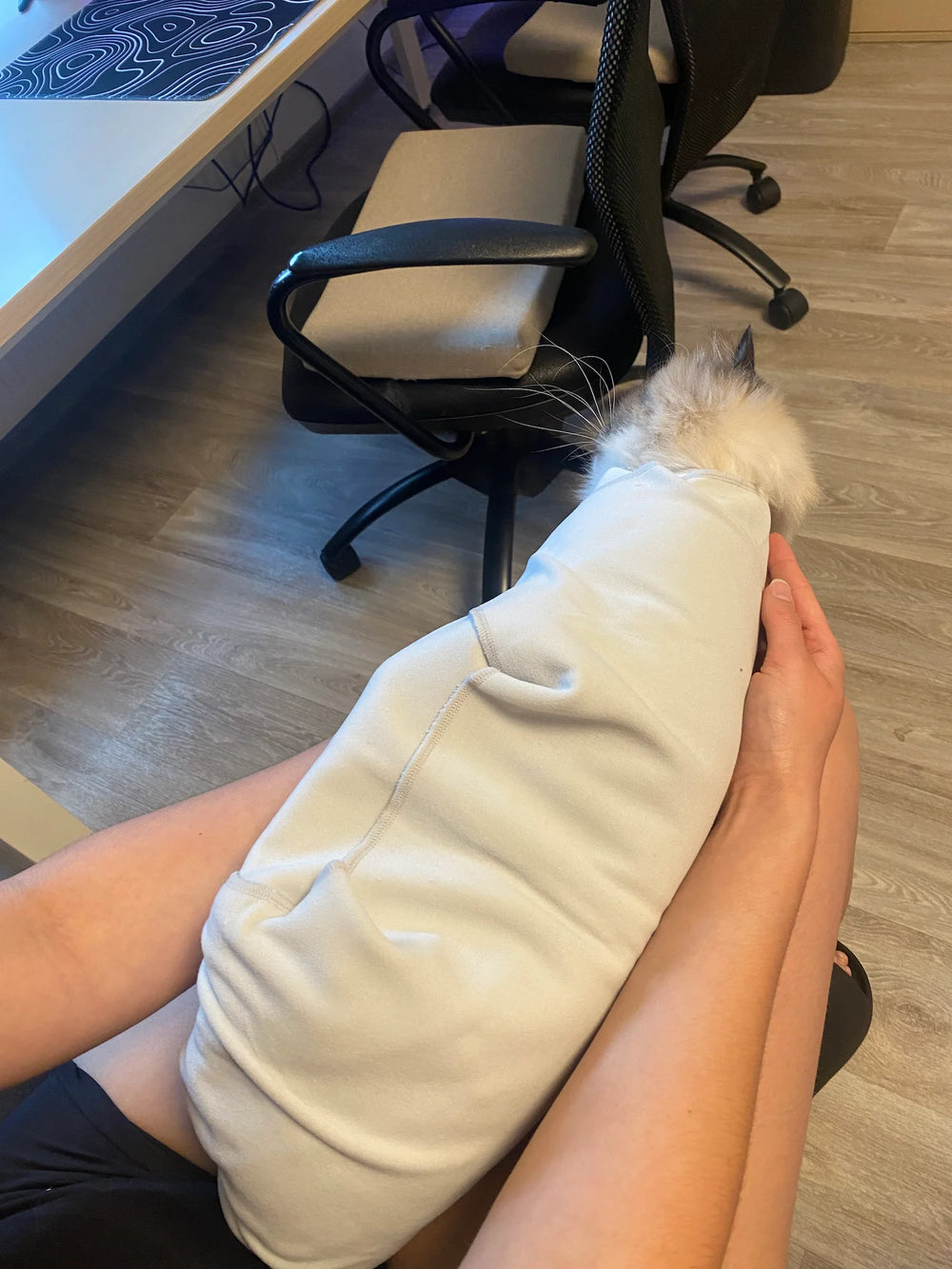 Customer showing his Ragdoll cat wrapped in the RagRoyale GroomWrap