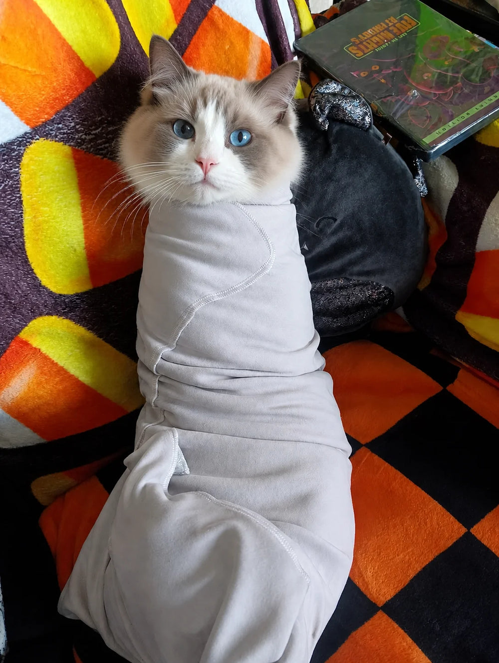 Ragdoll cat wraped in GroomWrap before grooming