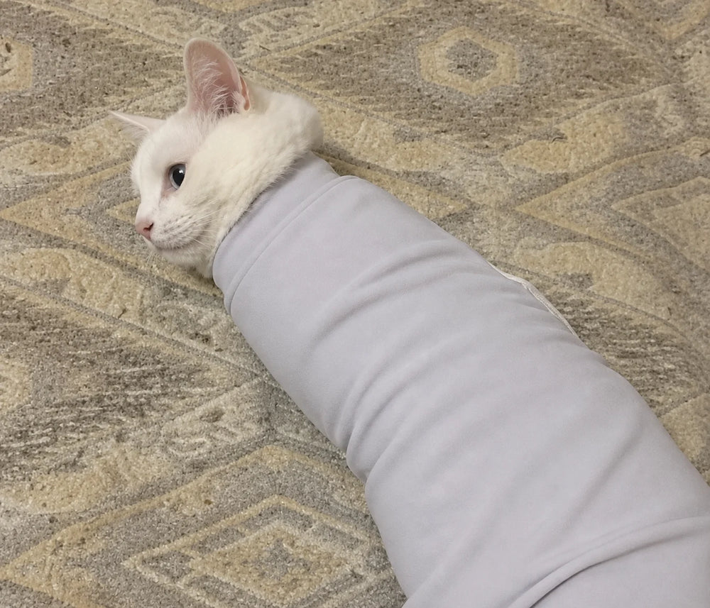 Customer showing his aggressive cat wrapped in GroomWrap