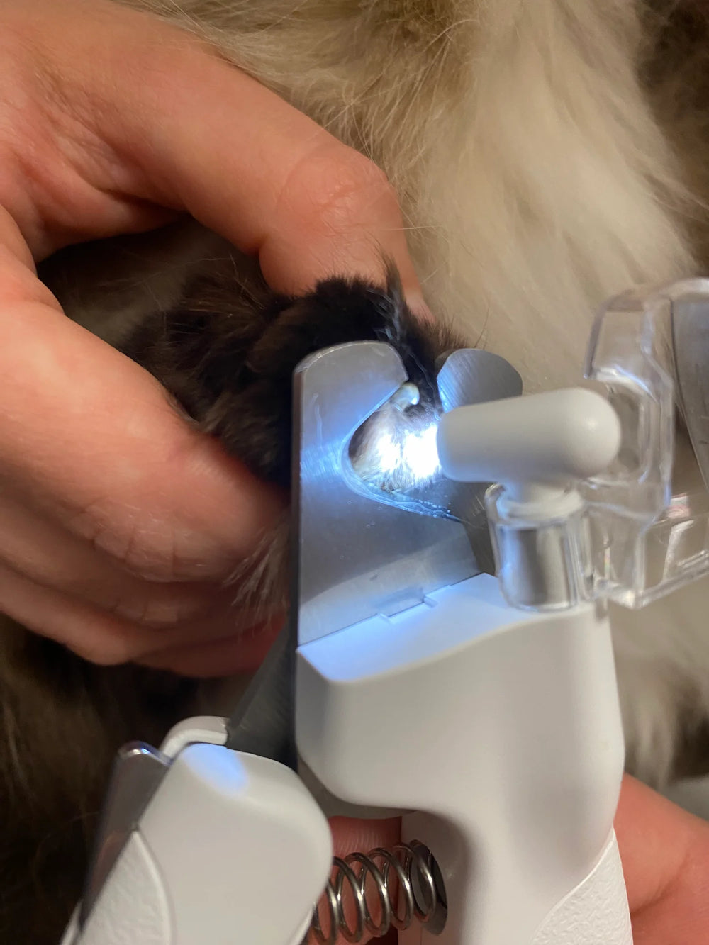 Customer showing nails quick with the LED nail clipper before nail trimming
