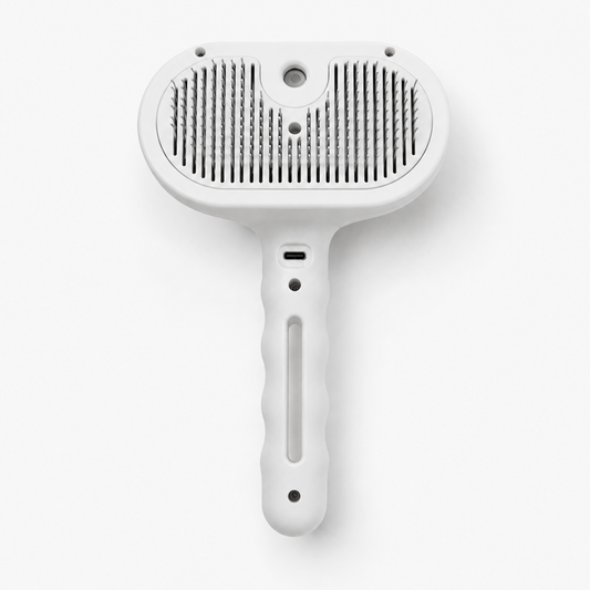 Steam Brush