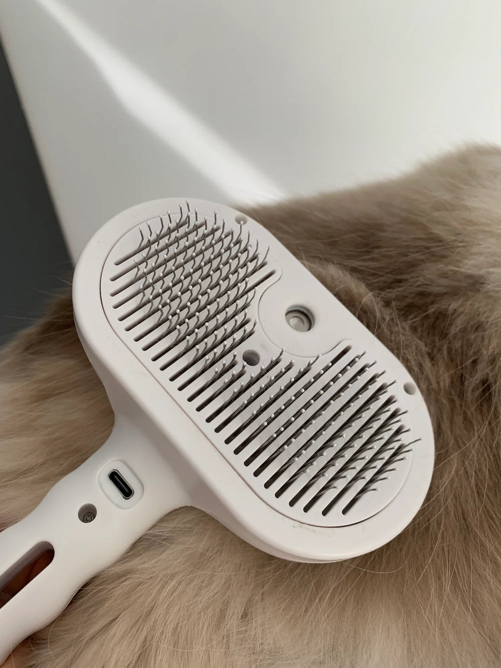 Customer showing the Mist Brush before brushing a Ragdoll Cat