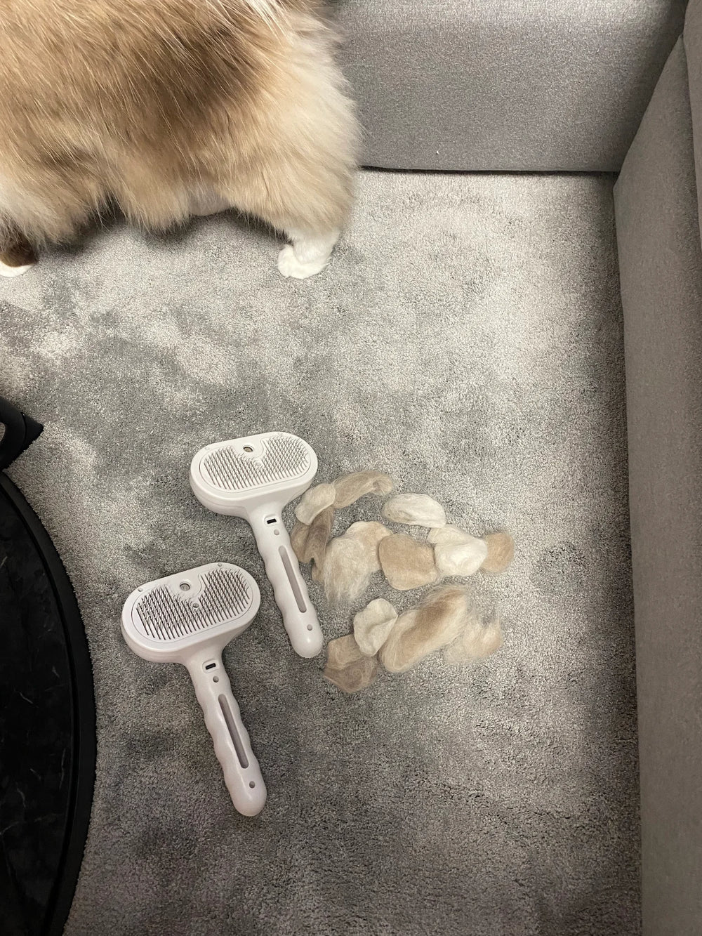 Customer showing all the collected Ragdoll cat fur on the floor after brushing with Mist Brush