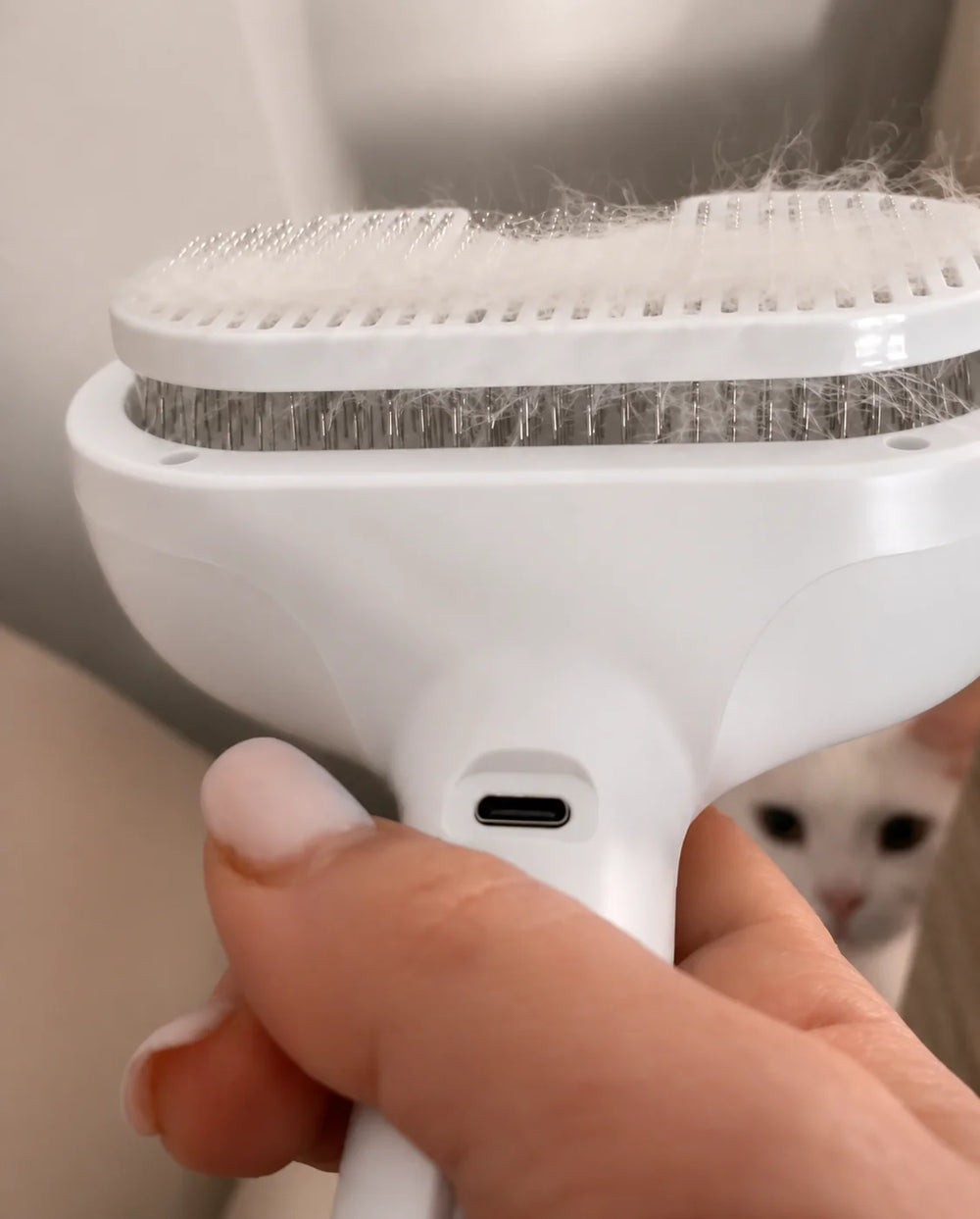 Cat hair collected on the Mist Brush with his cat in the background