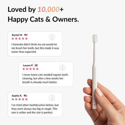 Customer reviews for the RagRoyale 360 cat toothbrush highlighting easier brushing, fresher breath and gentle dental care