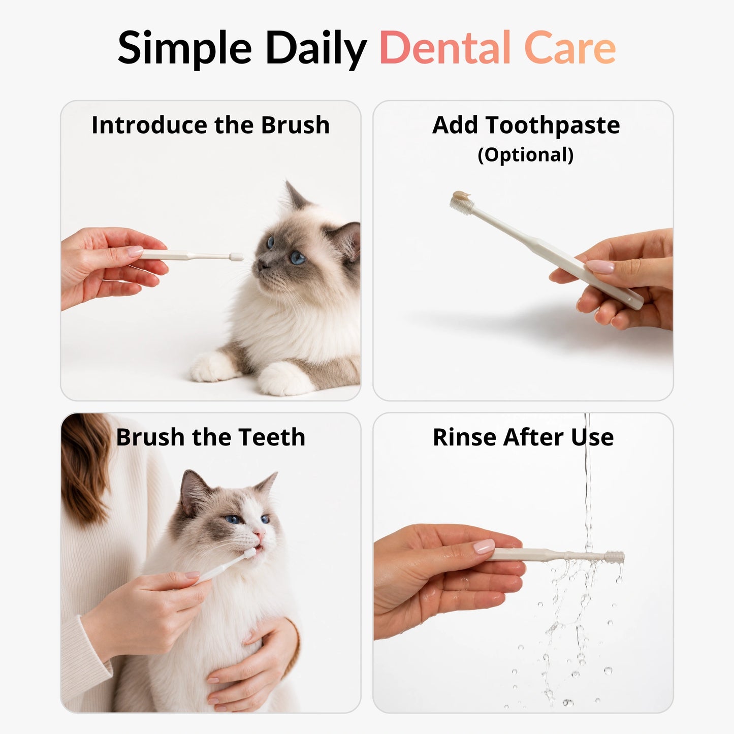 Step by step guide showing how to use a 360 cat toothbrush for daily dental care