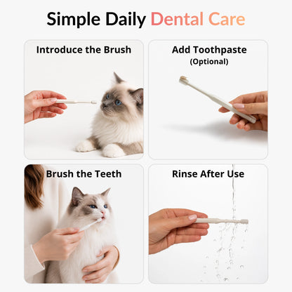Step by step guide showing how to use a 360 cat toothbrush for daily dental care