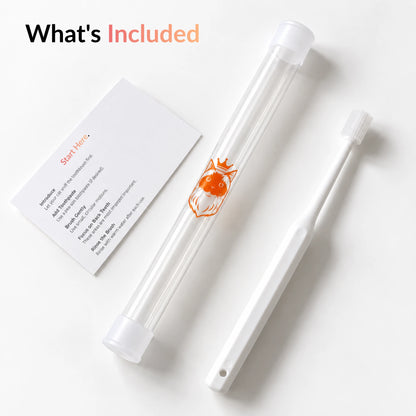 RagRoyale 360 toothbrush and everything that is included in the package