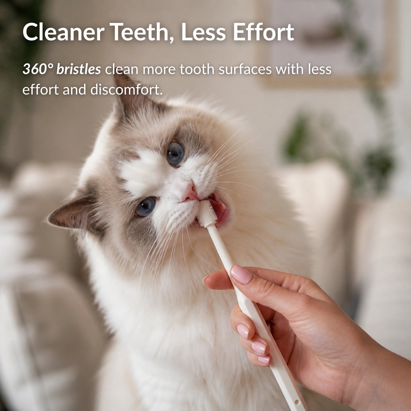 Cat using a 360 toothbrush for gentle teeth cleaning and plaque removal
