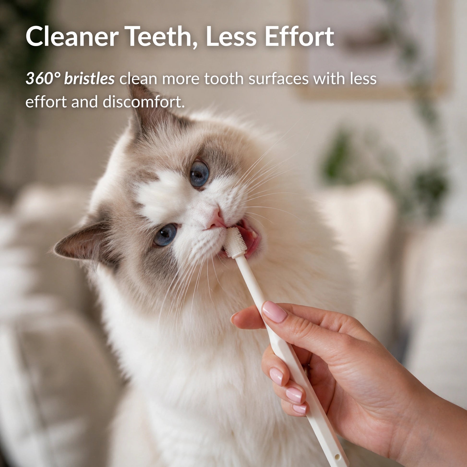 Cat using a 360 toothbrush for gentle teeth cleaning and plaque removal