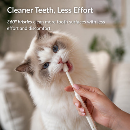 Cat using a 360 toothbrush for gentle teeth cleaning and plaque removal
