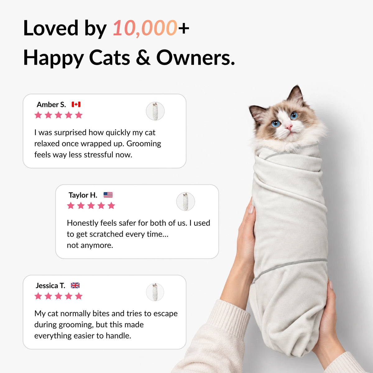 Customer reviews for RagRoyale GroomWrap showing positive feedback from cat owners about safer and less stressful grooming