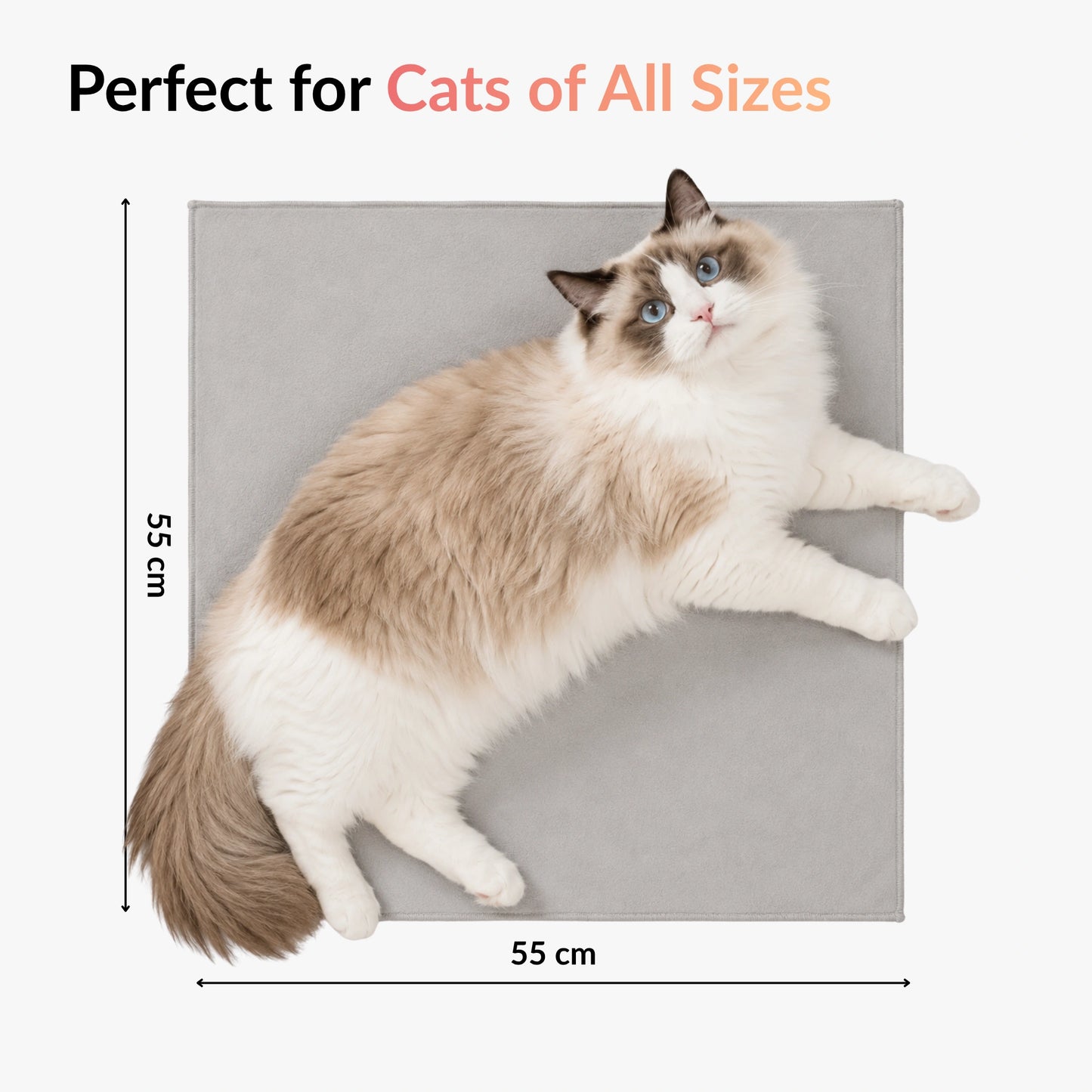 RagRoyale GroomWrap size guide showing 55 x 55 cm dimensions suitable for cats of different sizes